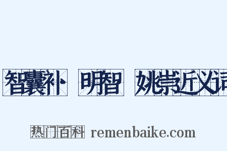 智囊补·明智·姚崇近义词是什么意思的图片